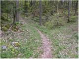 Idrija - Hleviška planina